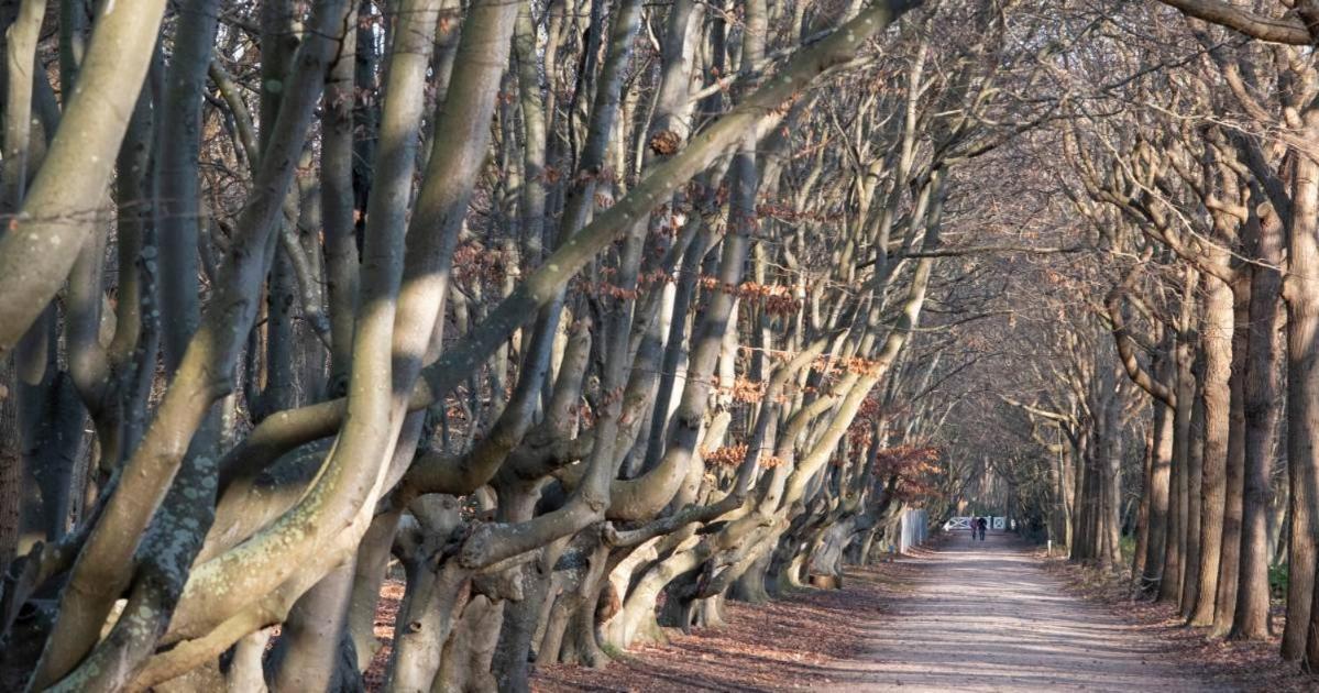 Buitenplaats Iepenoord Oostkapelle Zewnętrze zdjęcie