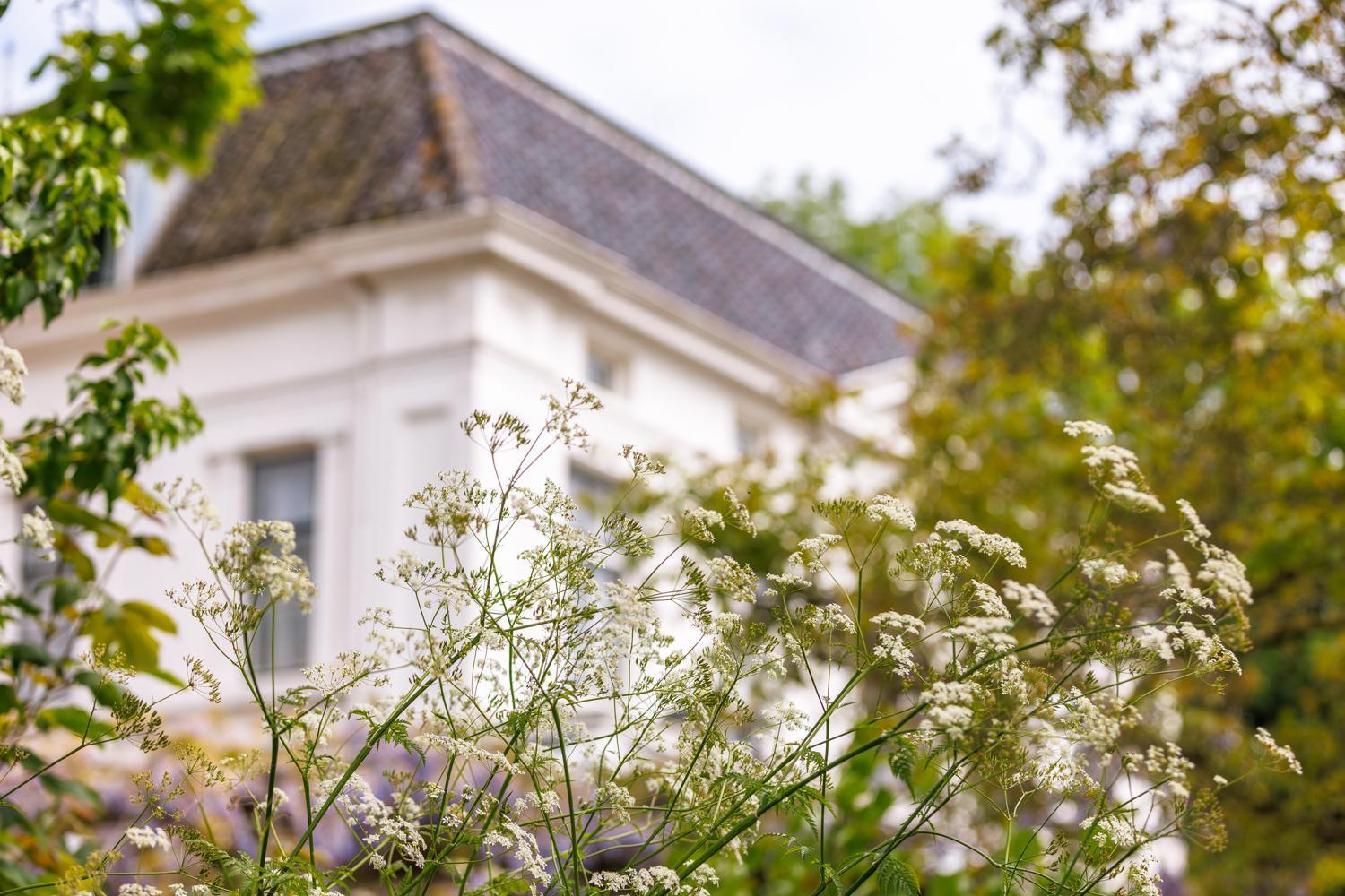Buitenplaats Iepenoord Oostkapelle Zewnętrze zdjęcie